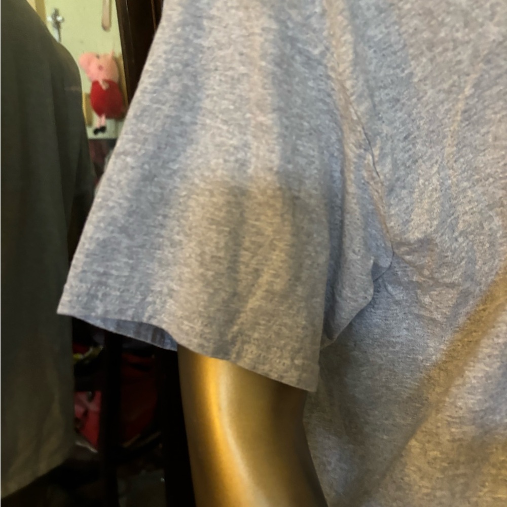 Stevie Nicks Graphic Tee with Artistic Portrait and Dove - Light Gray - Picture 6 of 7